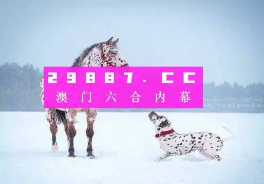 新澳门一码一码100准确/精选解释解析落实