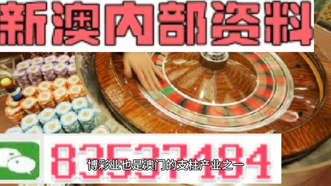澳门正版免费资料精准大全/精选解释解析落实