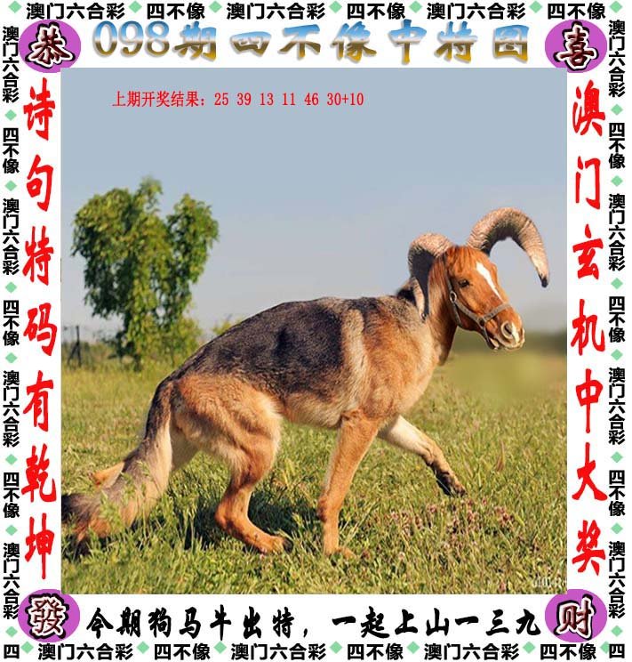 四不像中特图2025年27期图片/精选解释解析落实
