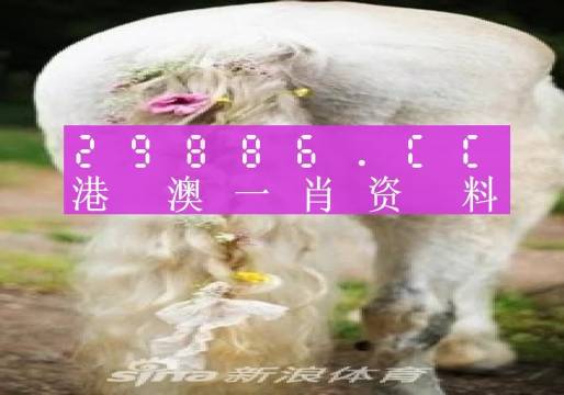 今晚一肖一码澳门一肖四不像/精选解释解析落实