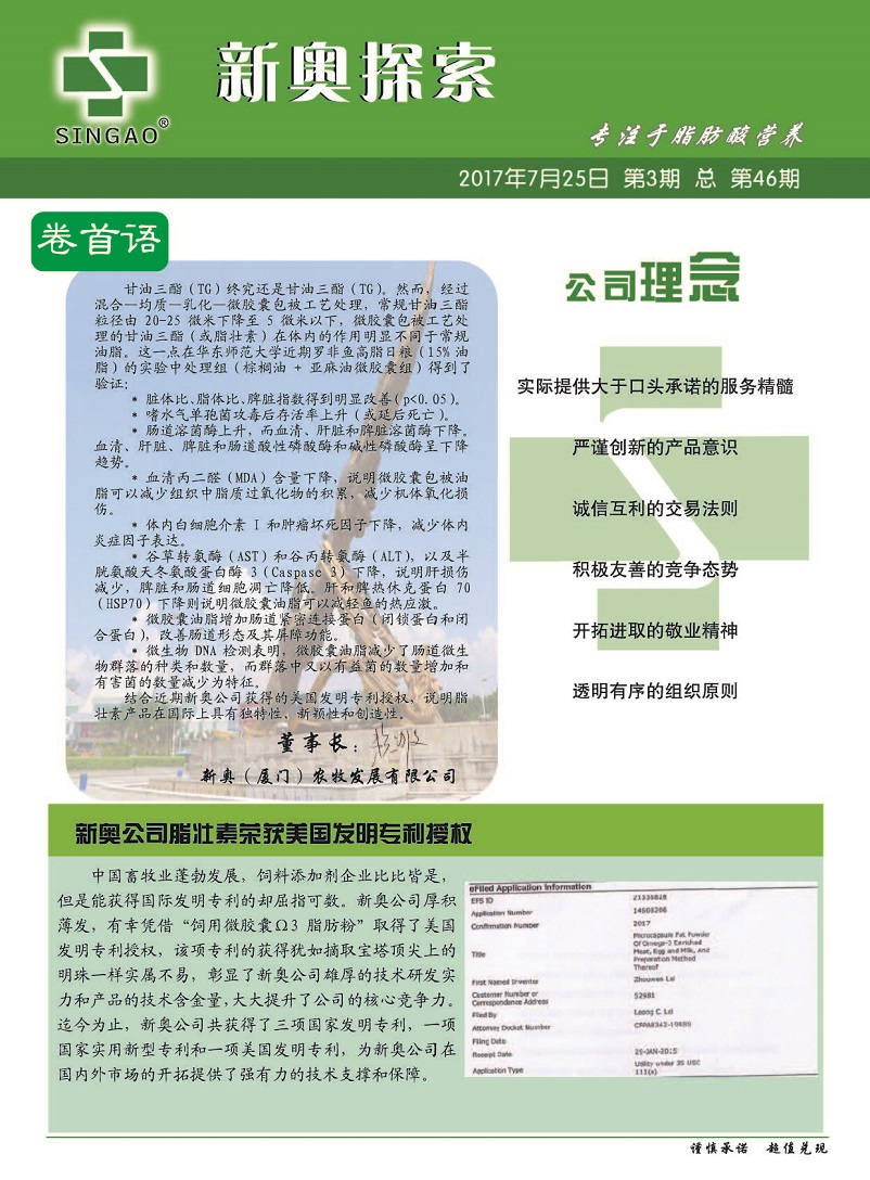 2025年新澳精准正版资料免费/精选解释解析落实