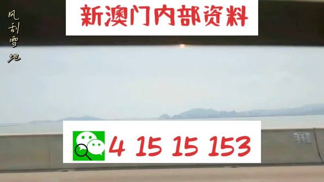 新澳六叔精准资料大全/精选解释解析落实